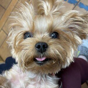 Meet your Posher, Juancarlos